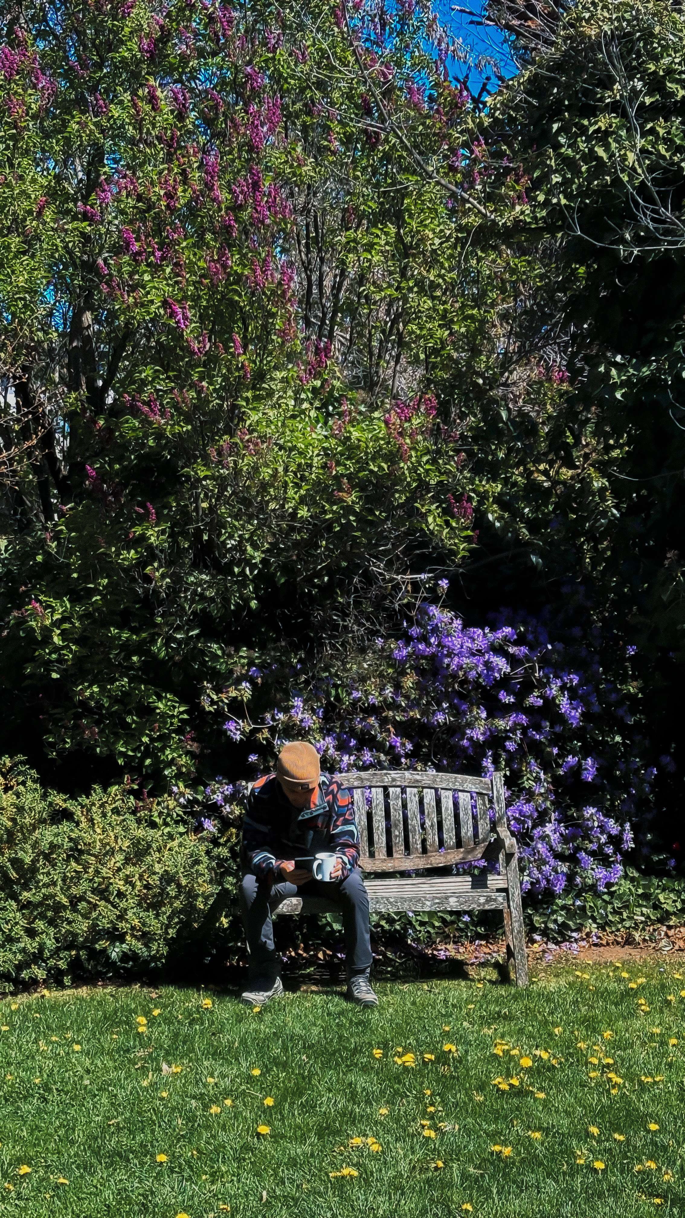 Jardín del hostel con flores de colores y plantas verdes